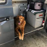 Review photo of Jumbo Rocks Campground — Joshua Tree National Park by Chad M., December 30, 2020