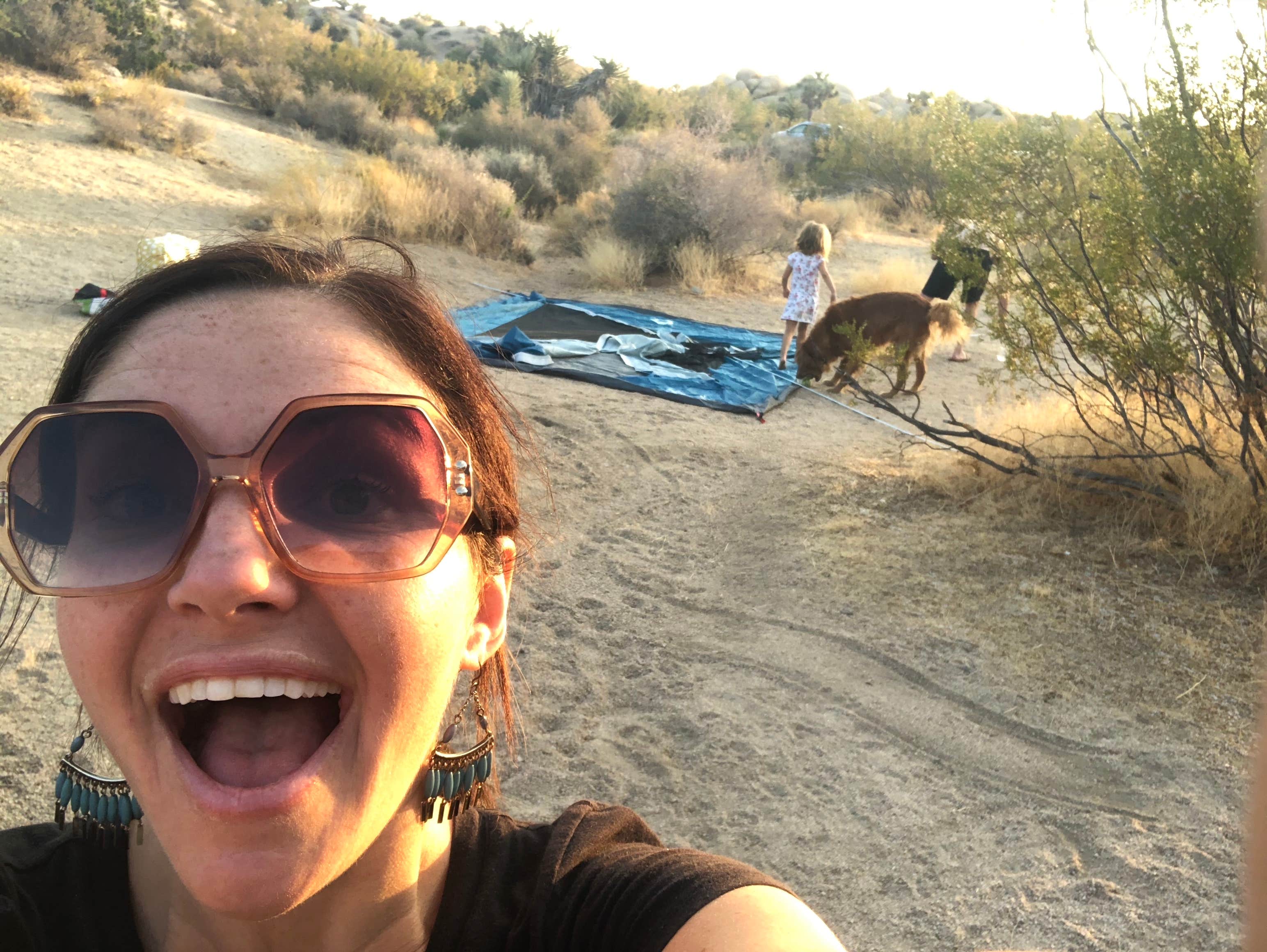 Chad M.'s photo of camping with pets at Jumbo Rocks Campground — Joshua Tree National Park near Thermal, CA