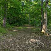 Review photo of Little Stony Creek Road Dispersed Area by Shari  G., December 30, 2020