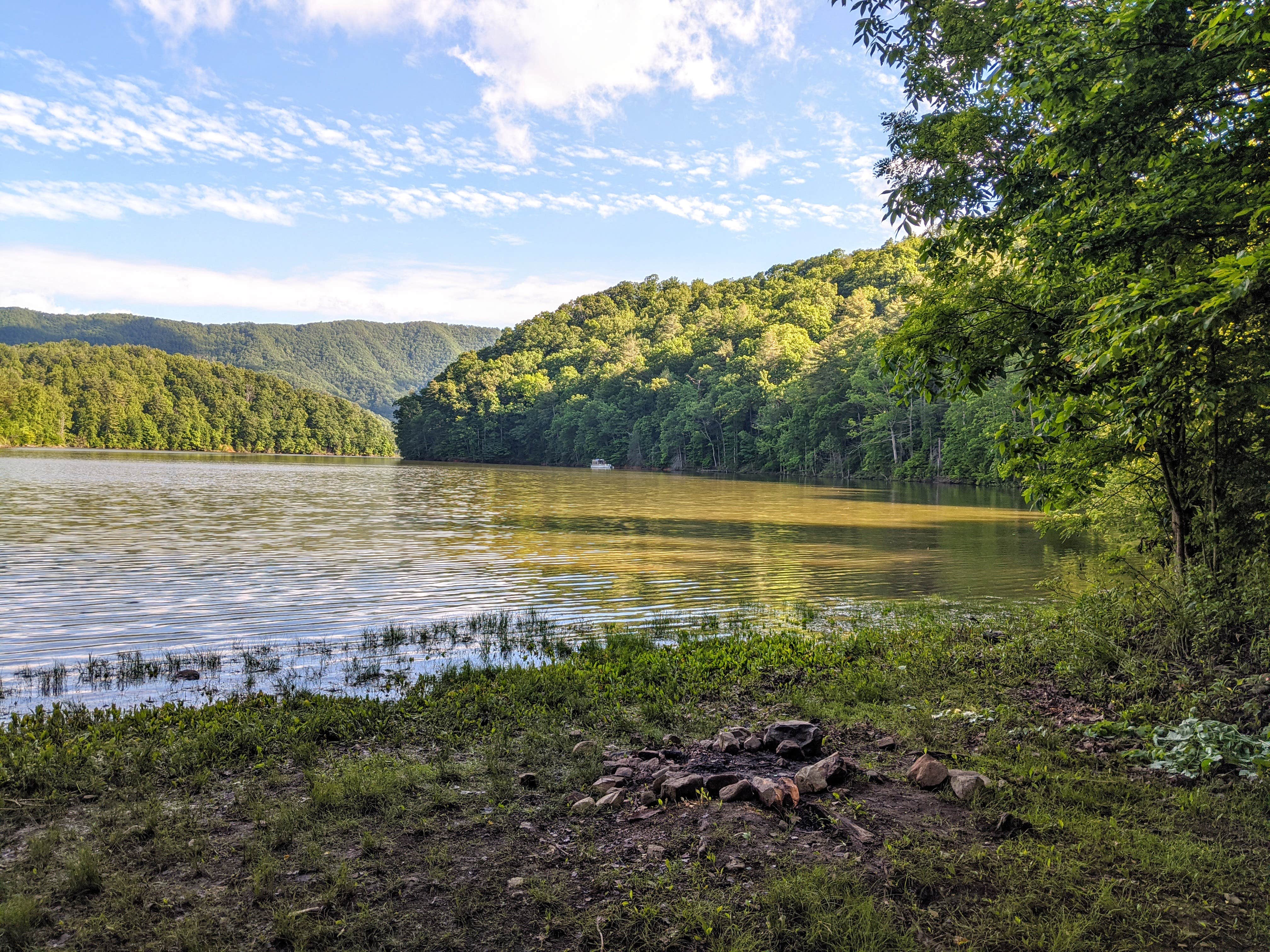 Shari  G.'s photo of a dispersed camping area at Little Stony Creek Road Dispersed Area near Fort Blackmore, VA