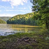 Review photo of Little Stony Creek Road Dispersed Area by Shari  G., December 30, 2020