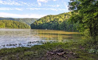 Shari G.'s photo of a dispersed camping area at Little Stony Creek Road Dispersed Area near Bakersville, NC