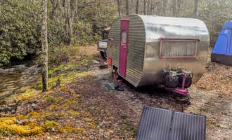 Camping near Little Tumbling Creek: Washington & Jefferson National Forest Dispersed Sites, Damascus, Virginia