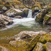 Review photo of Washington & Jefferson National Forest Dispersed Sites by Shari  G., December 30, 2020