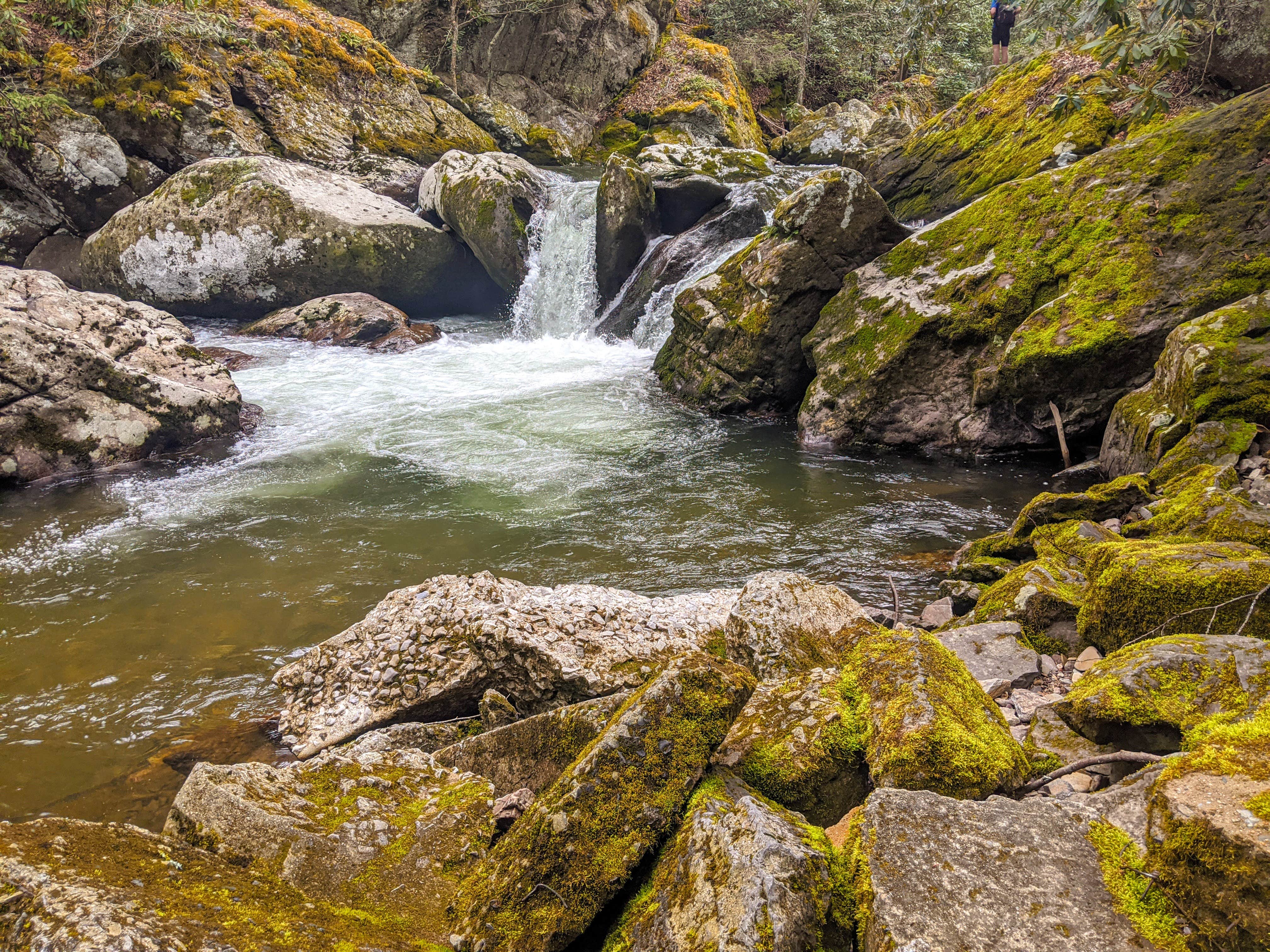 Camper submitted image from Washington & Jefferson National Forest Dispersed Sites - 3