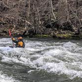 Review photo of Washington & Jefferson National Forest Dispersed Sites by Shari  G., December 30, 2020