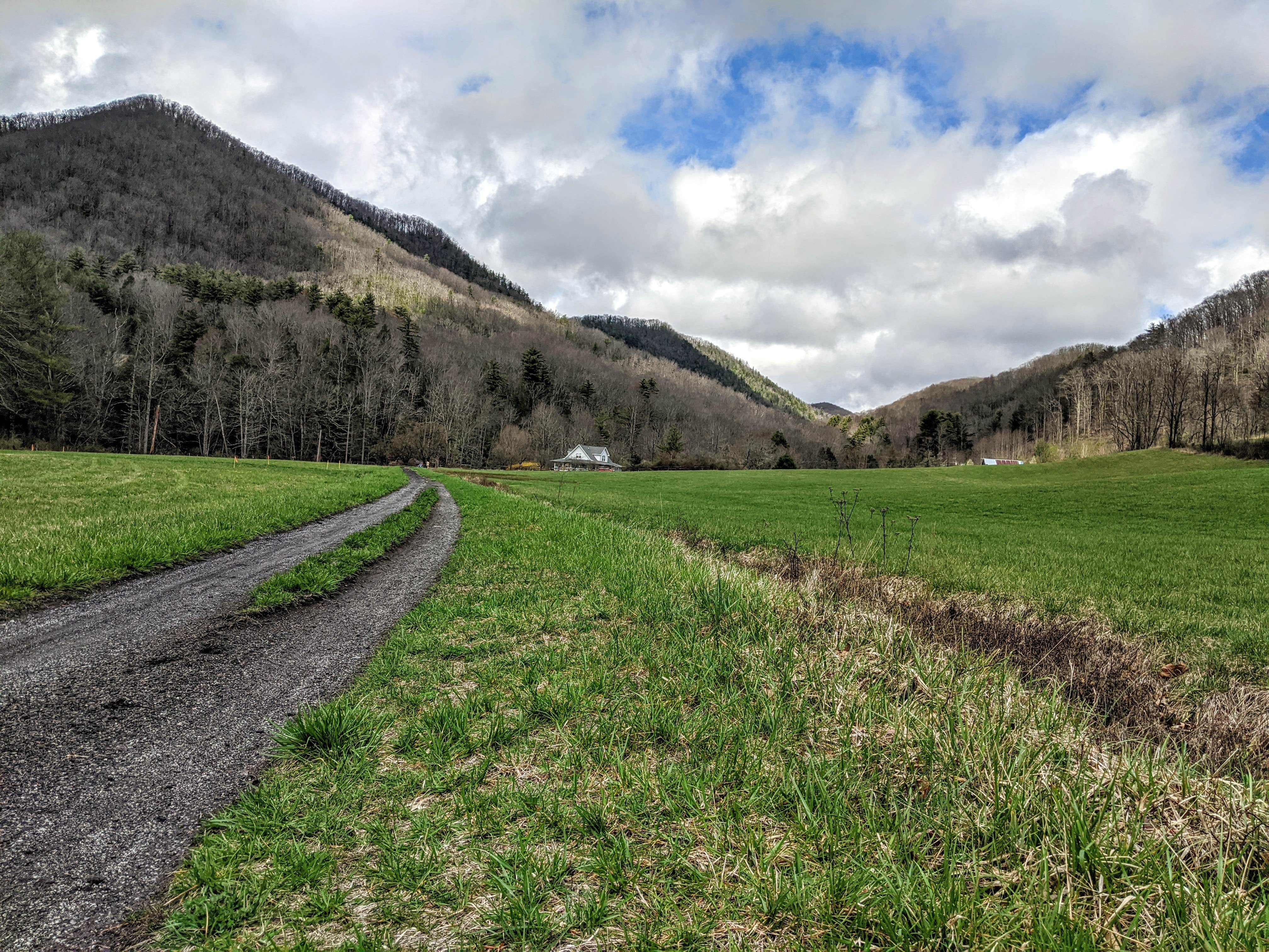 Camper submitted image from Washington & Jefferson National Forest Dispersed Sites - 2