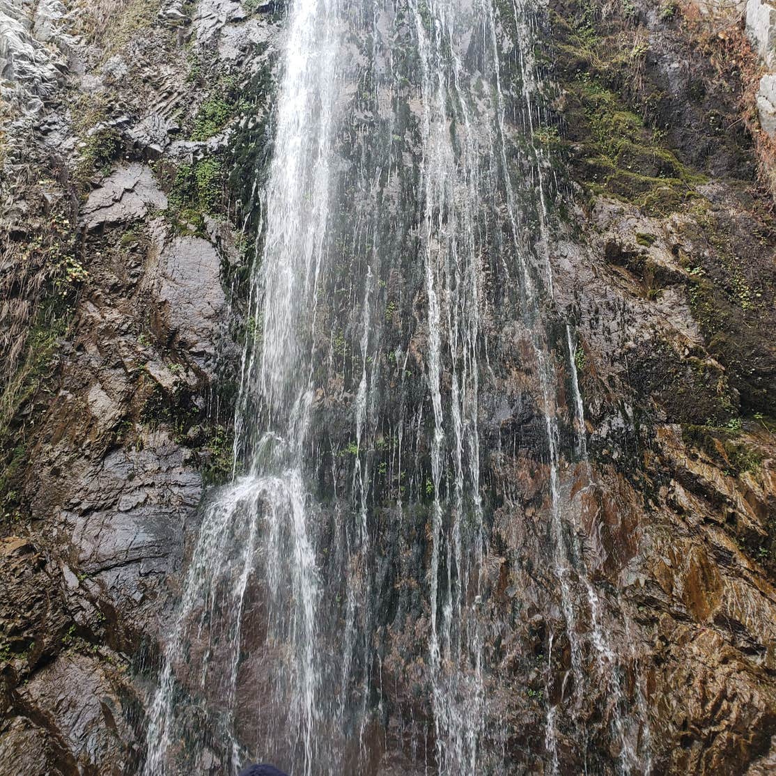 Bonita Ranch Campground Camping The Dyrt