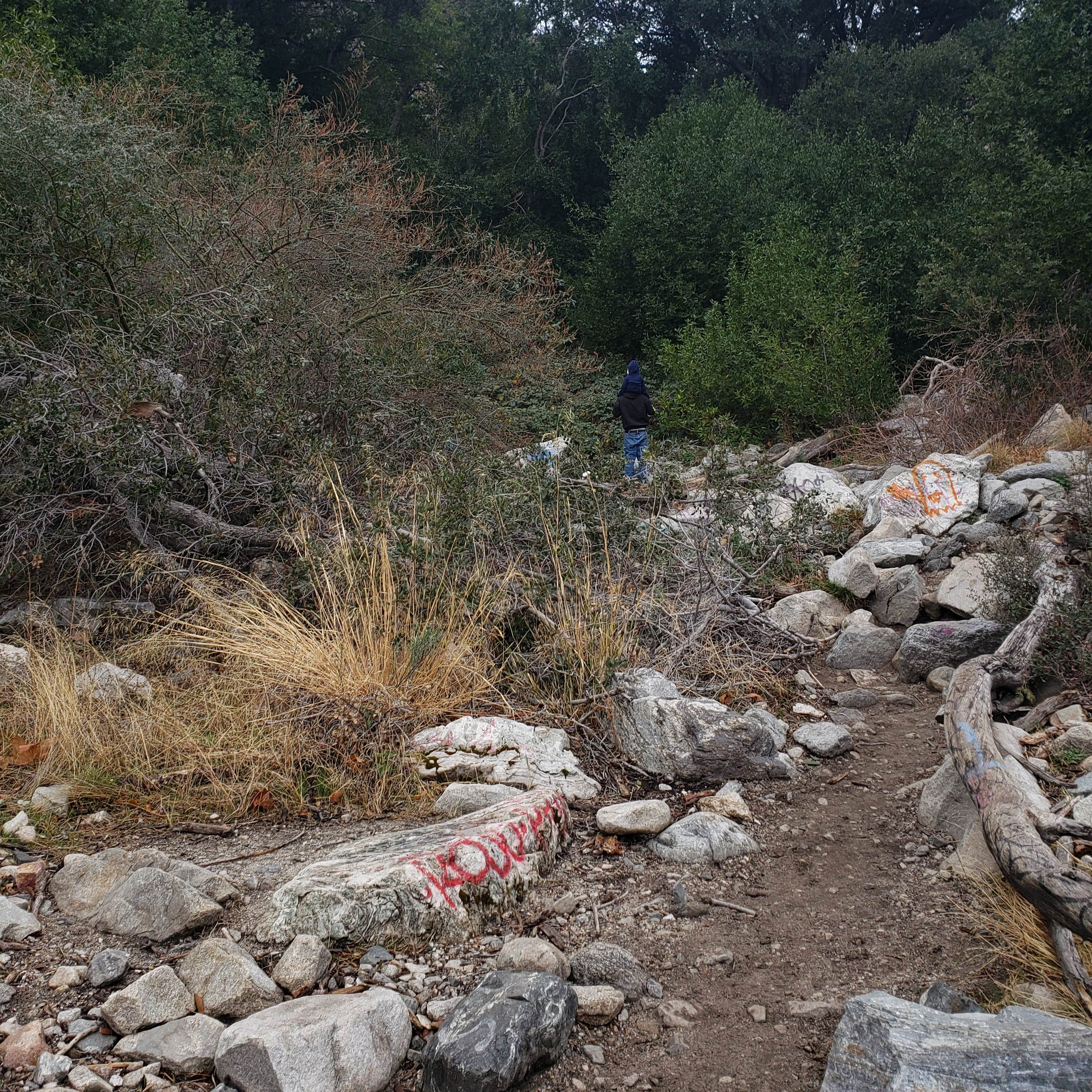 Bonita Ranch Campground Camping The Dyrt