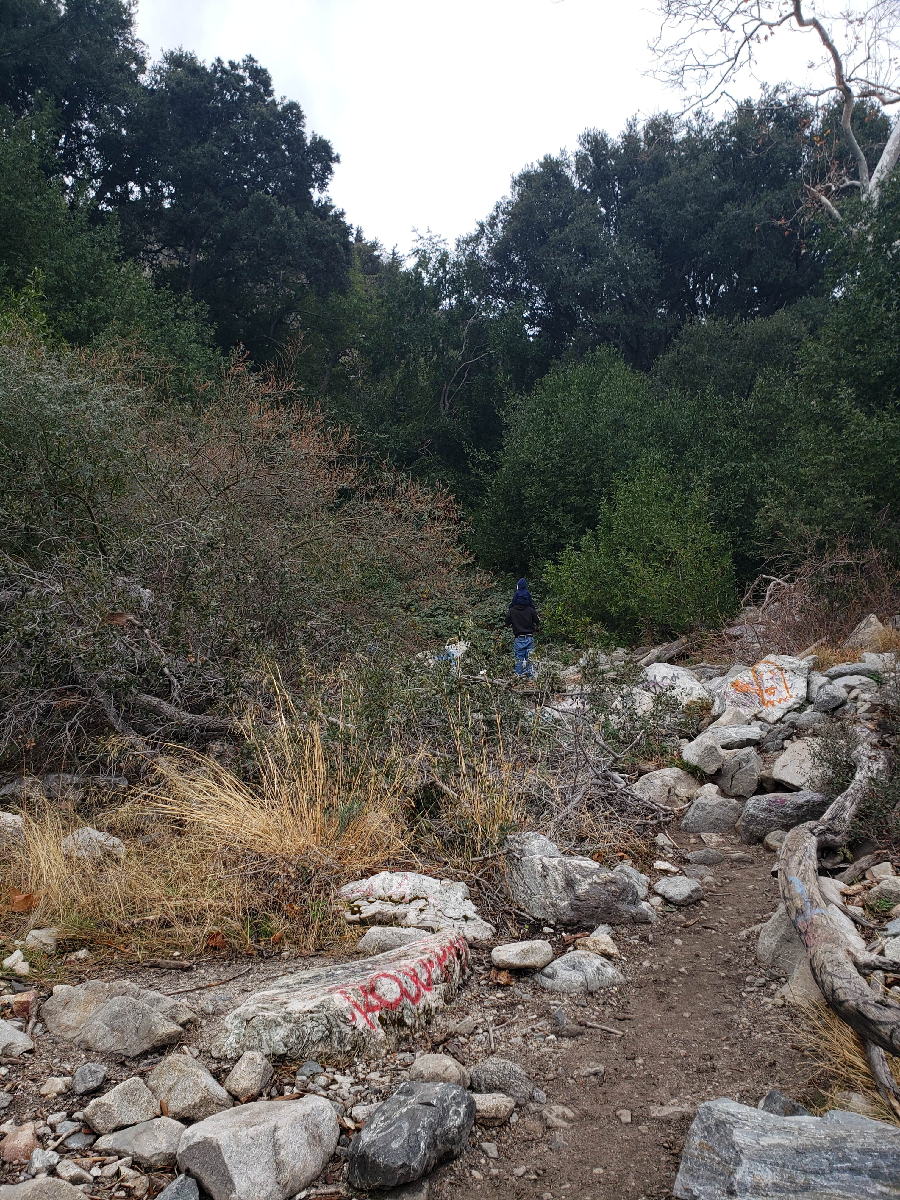 Camper submitted image from Bonita Ranch Campground - 2