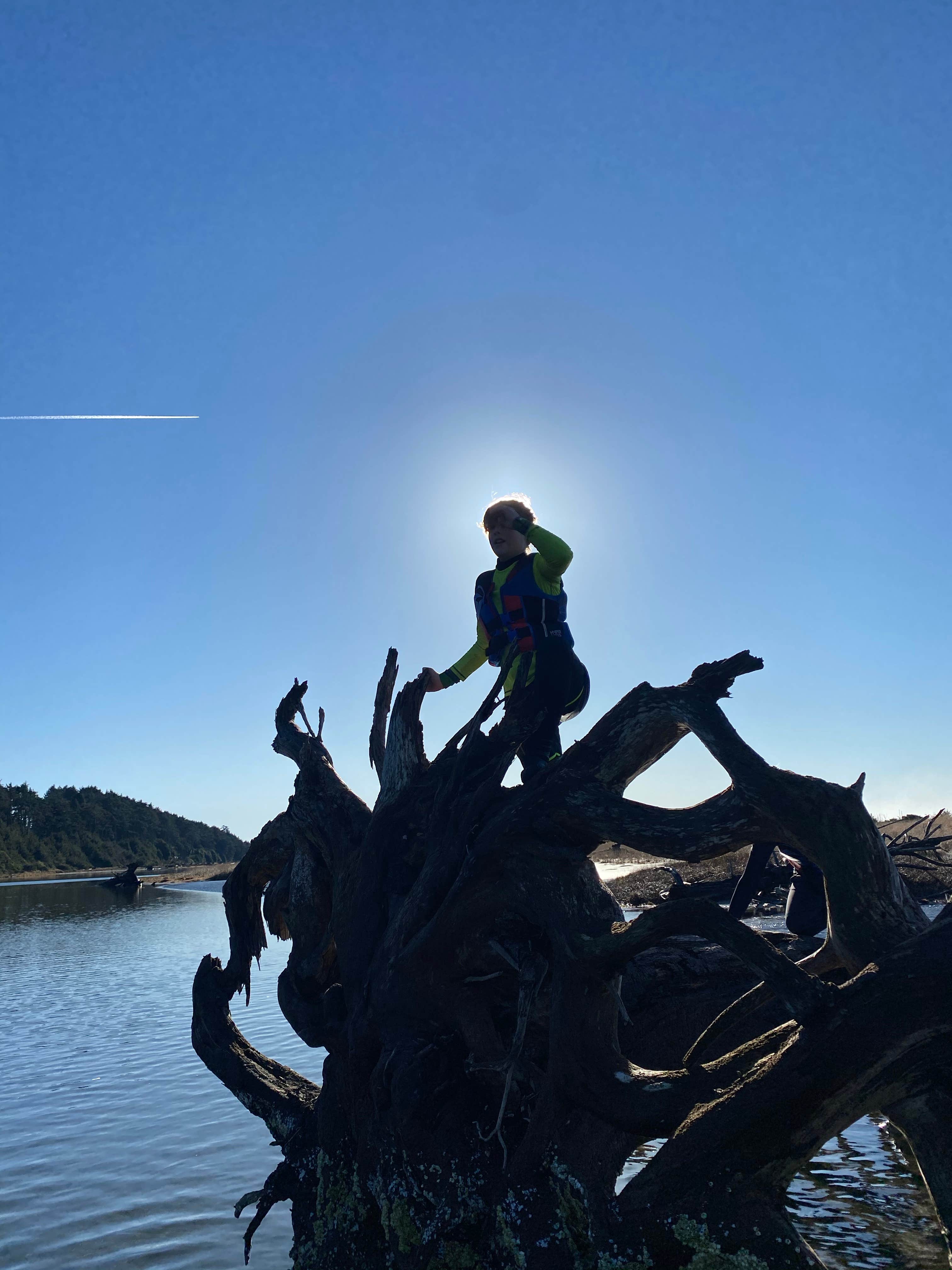 Camper-submitted photo at The Driftwood RV Resort and Campground near Ocean Shores, WA