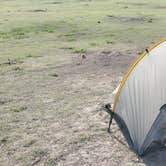 Review photo of Sage Creek Campground by UnnamedAdventures  , December 30, 2020