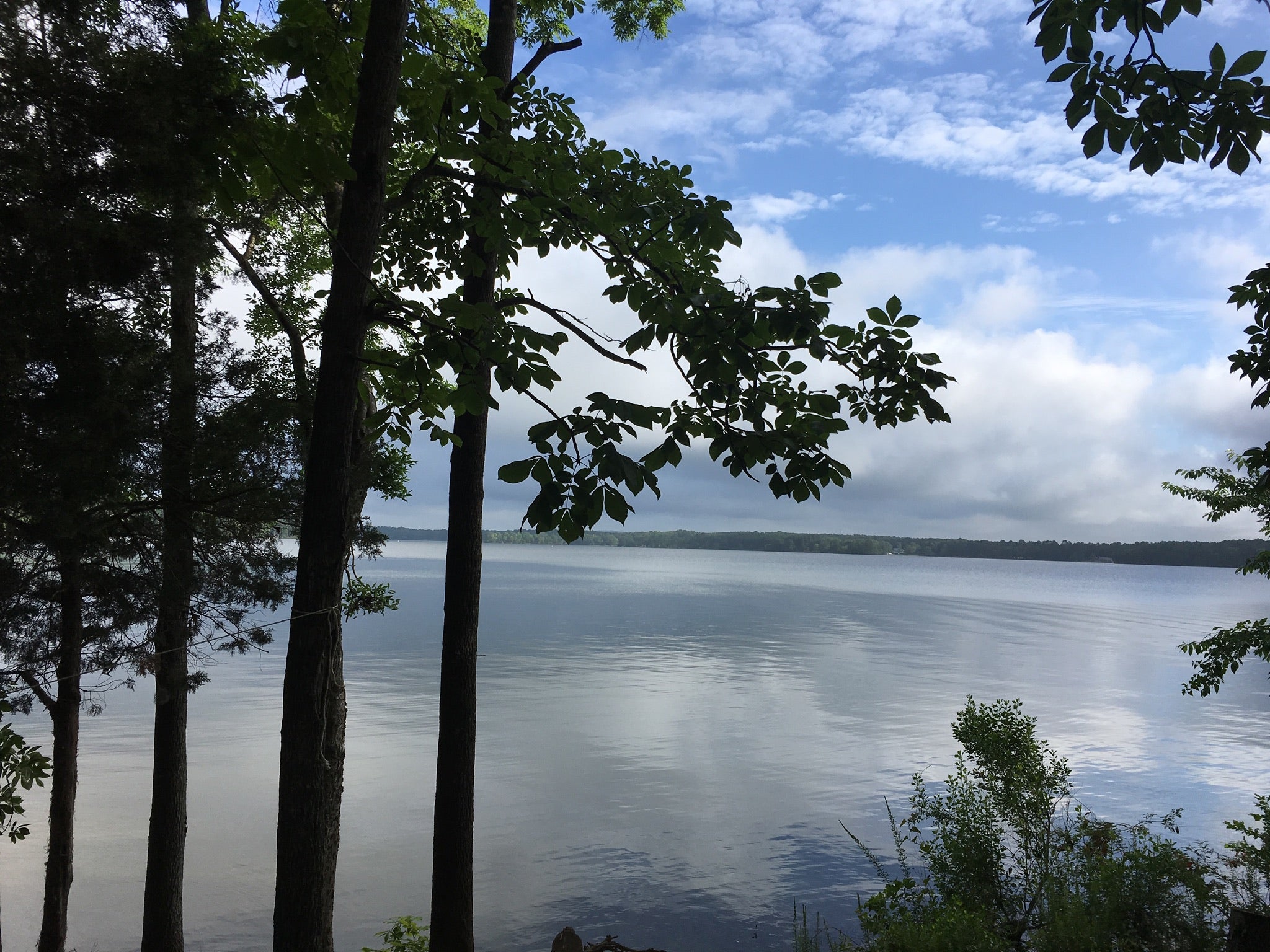 Morning Lake View