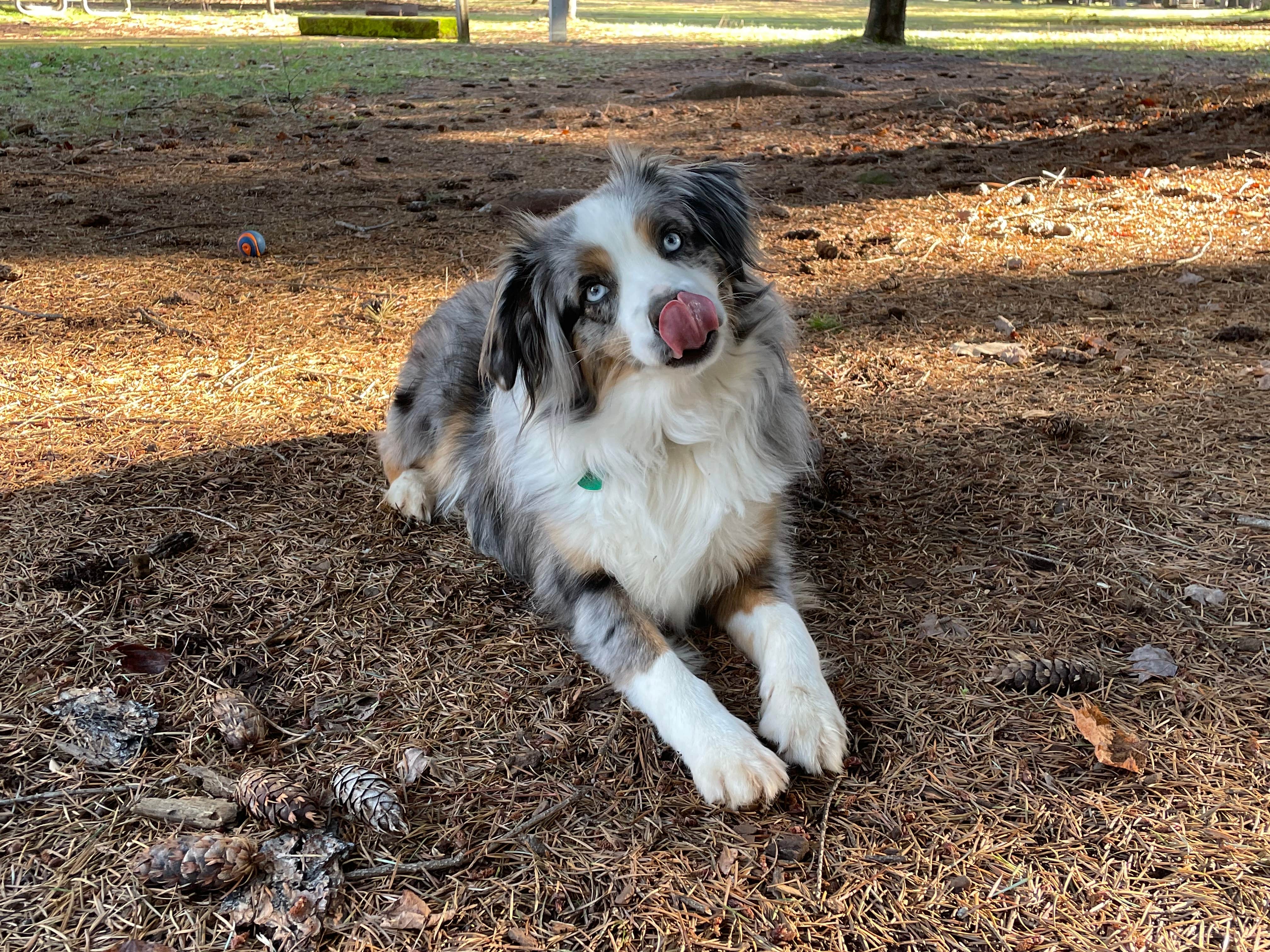 Camper submitted image from Joseph H. Stewart County Park - 1