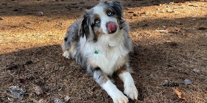Camper submitted image from Joseph H. Stewart County Park