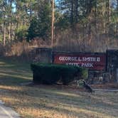 Review photo of George L Smith II State Park Campground by Elizabeth G., December 28, 2020