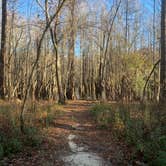 Review photo of George L Smith II State Park Campground by Elizabeth G., December 28, 2020