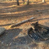 Review photo of George L Smith II State Park Campground by Elizabeth G., December 28, 2020