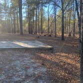 Review photo of George L Smith II State Park Campground by Elizabeth G., December 28, 2020