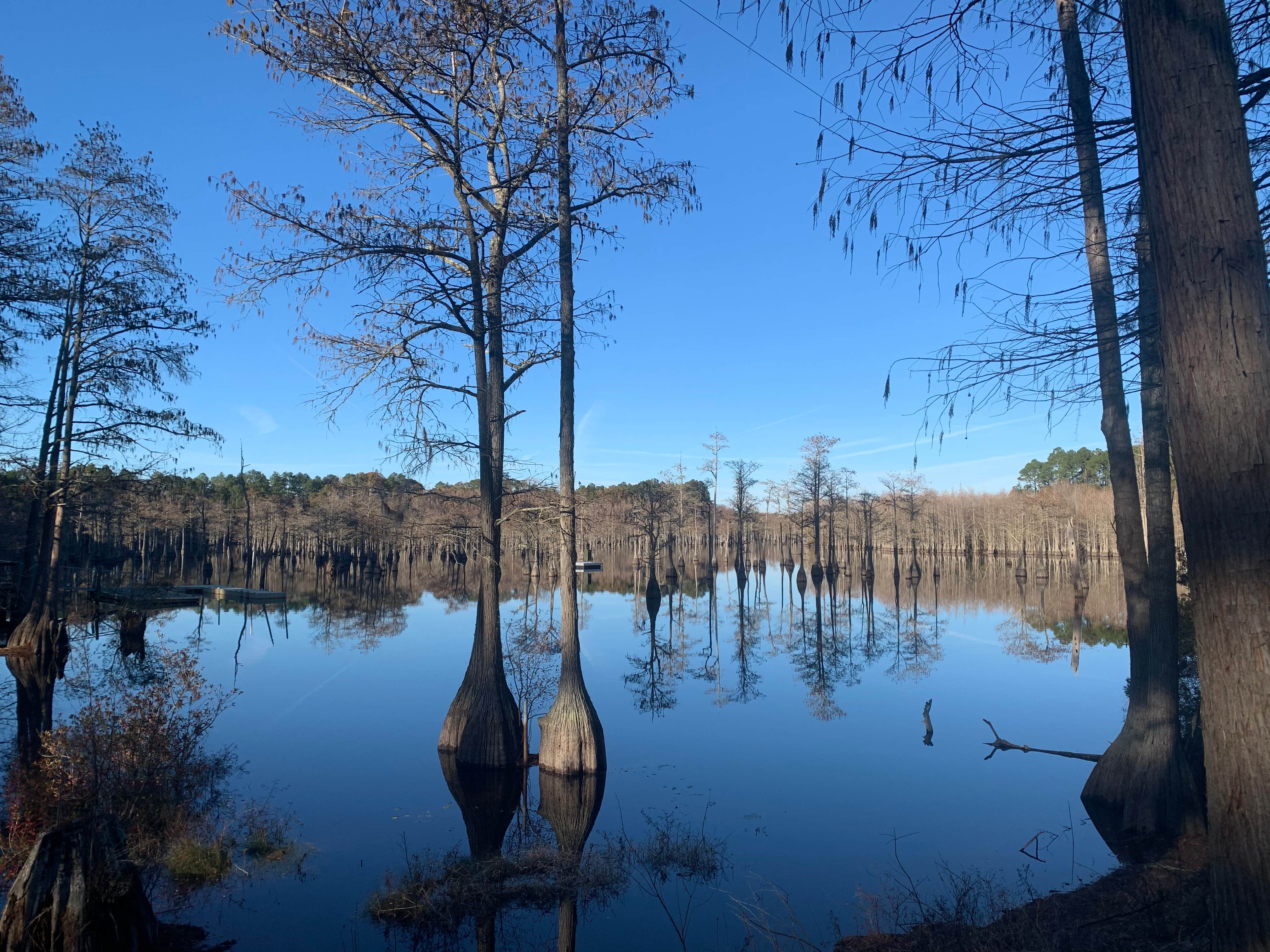Little Ocmulgee State Park and Lodge photo 4