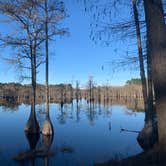 Review photo of George L Smith II State Park Campground by Elizabeth G., December 28, 2020