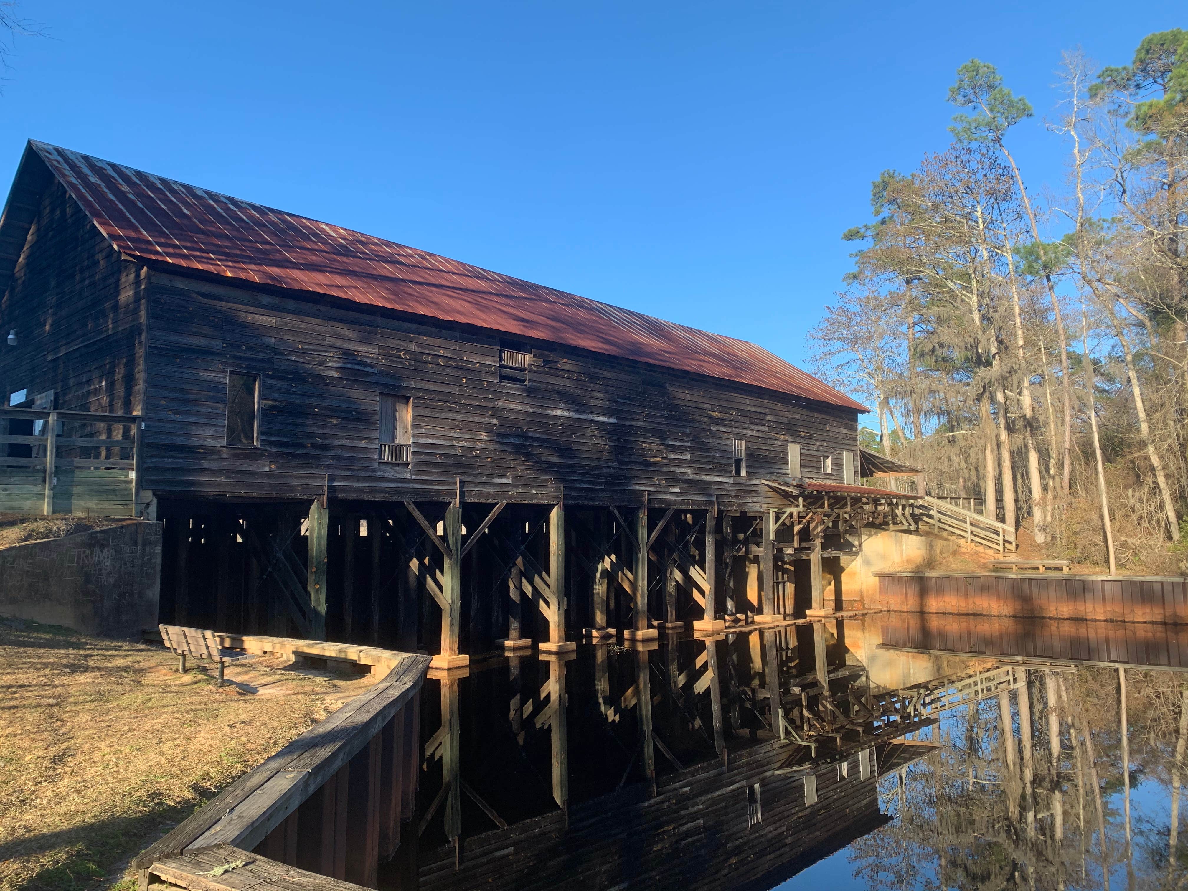 Camper submitted image from George L. Smith State Park Campground - 4