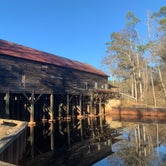 Review photo of George L Smith II State Park Campground by Elizabeth G., December 28, 2020