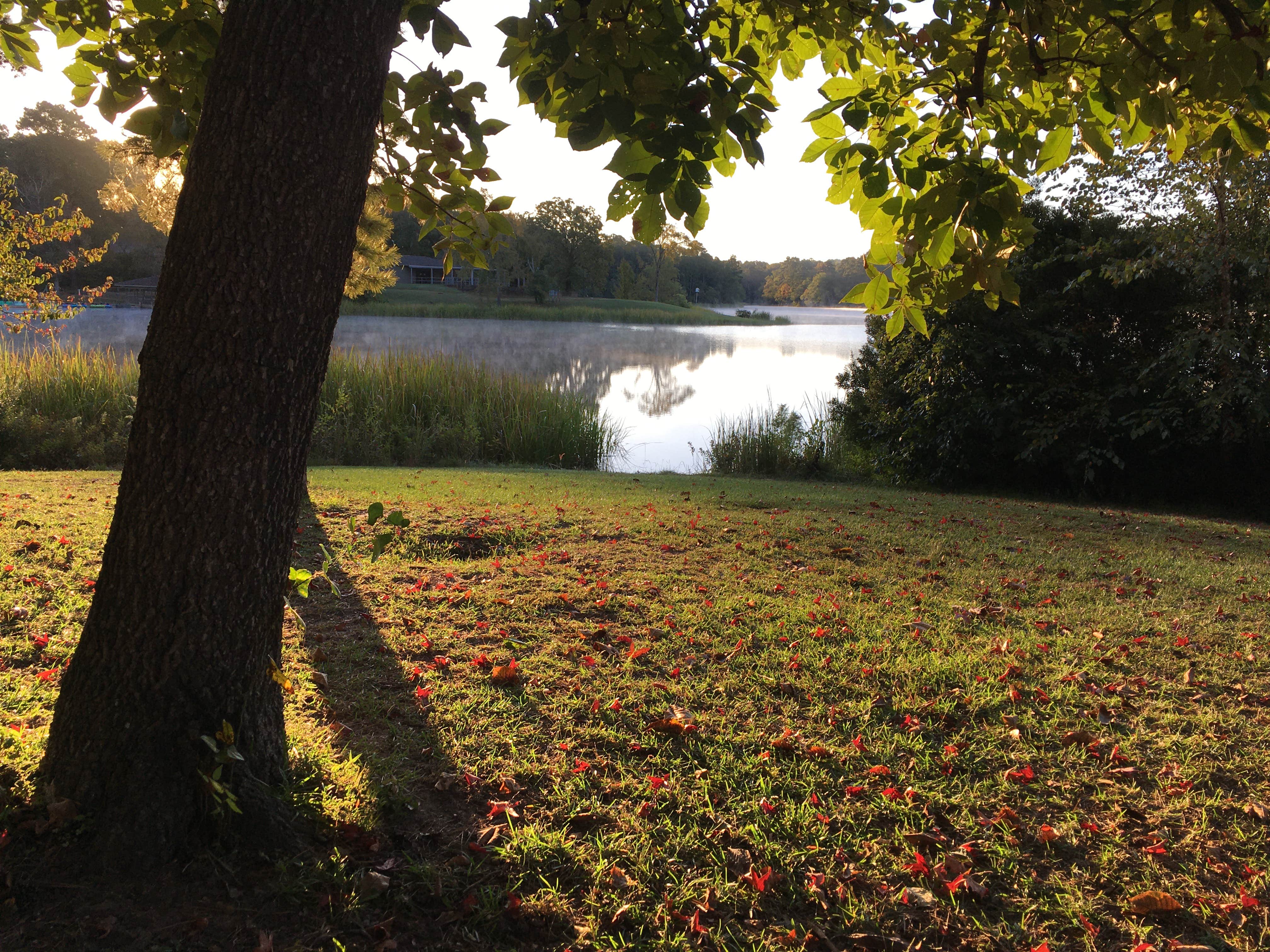 Camper-submitted photo at Tyler State Park Campground in Texas