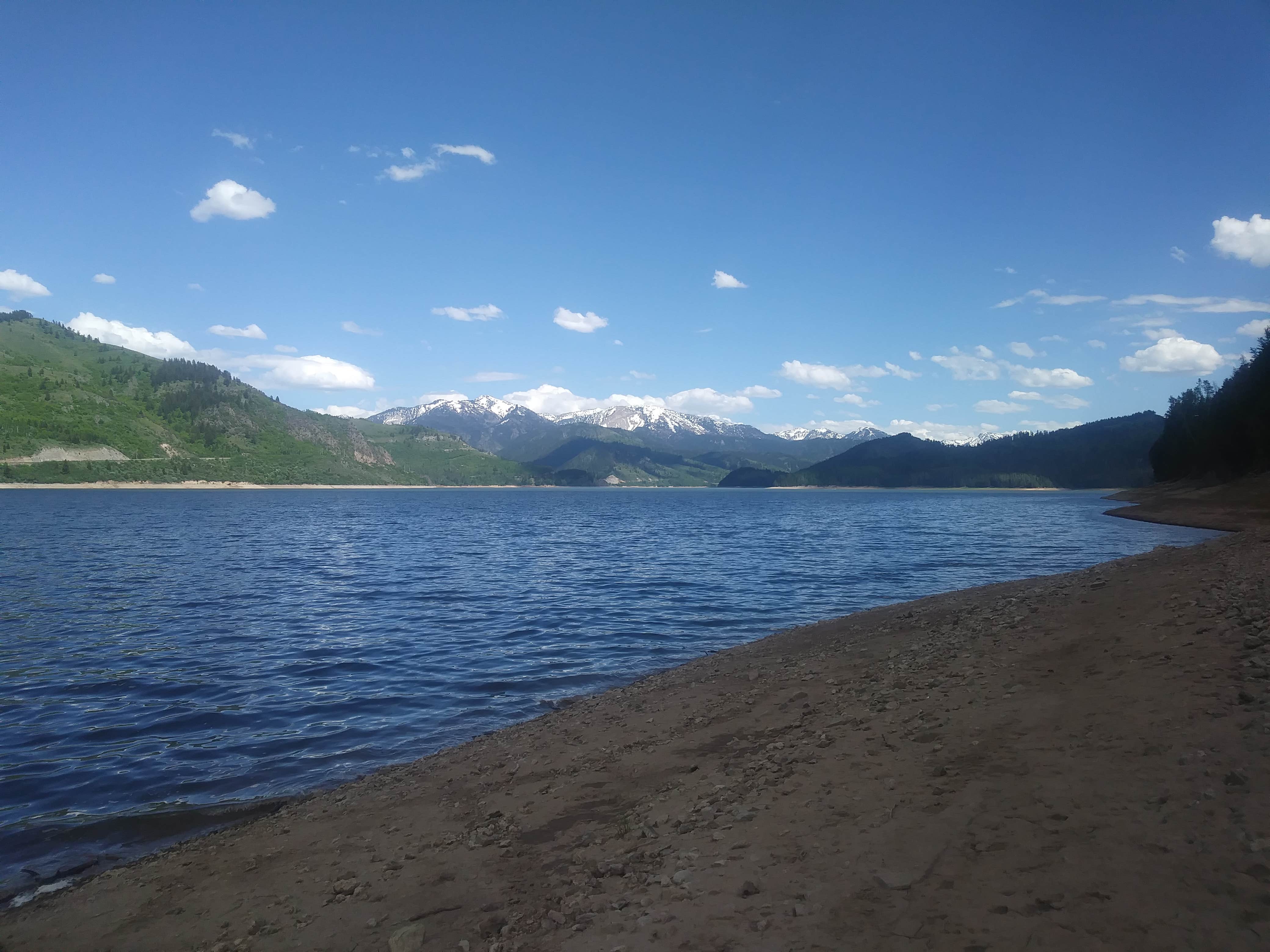 Camper submitted image from Targhee National Forest Calamity Campground - 4