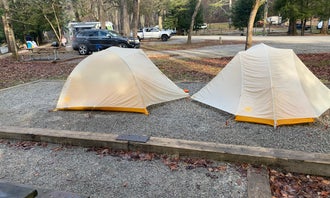 Camping near Lake Rabun Beach Recreation Area: Moccasin Creek State Park Campground, Tiger, Georgia