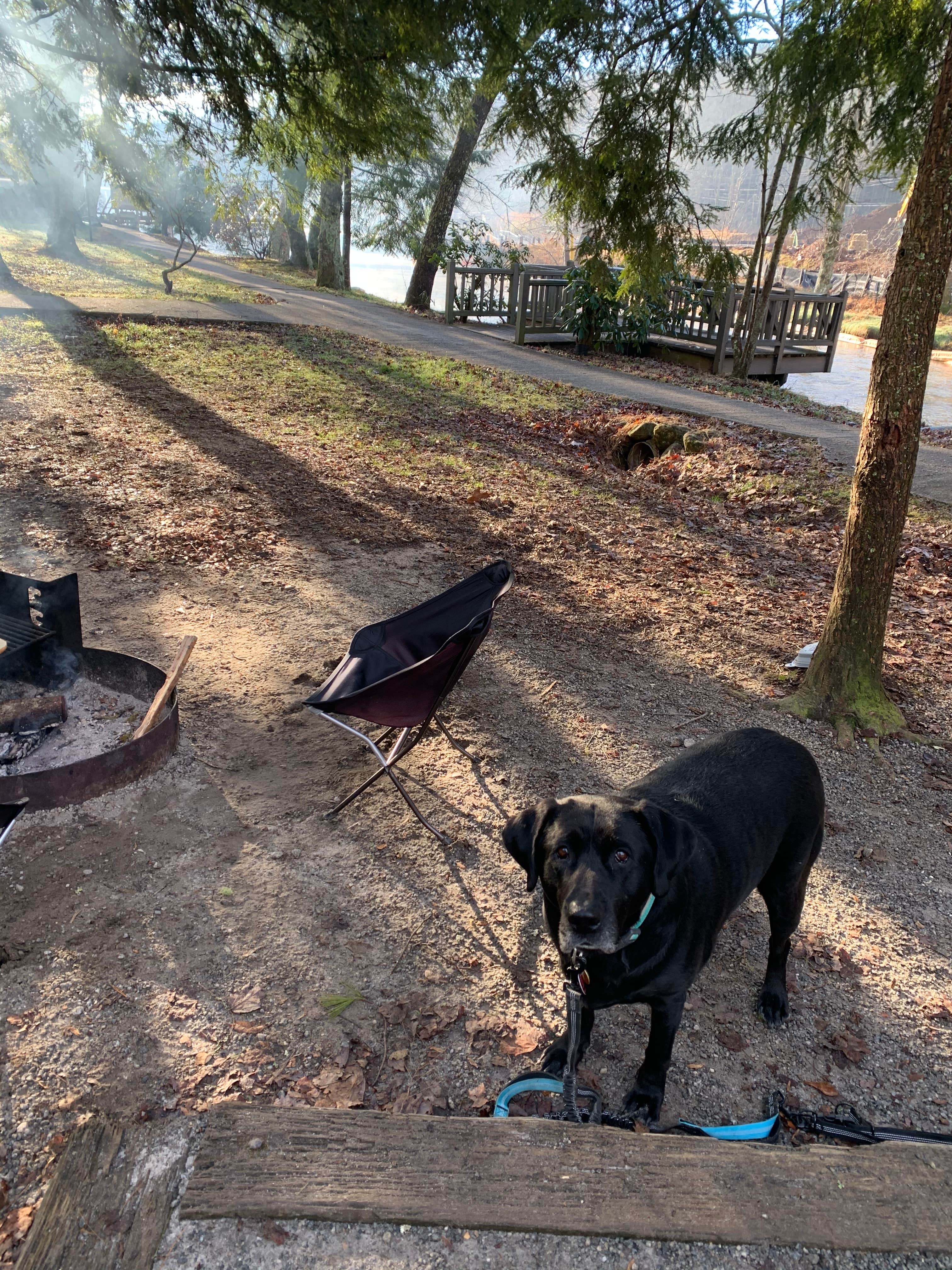 Camper-submitted photo at Moccasin Creek State Park Campground near Hiawassee, GA
