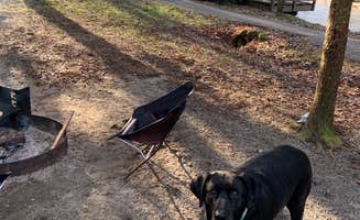 Elizabeth G.'s photo of camping with pets at Moccasin Creek State Park Campground near Tallulah Falls, GA