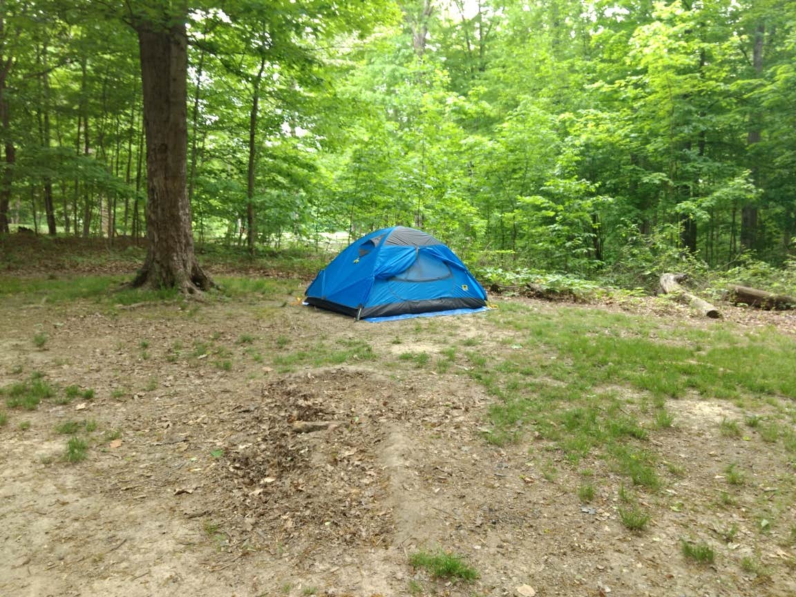 Camper submitted image from Cecil M Harden Lake Raccoon State Recreation Area - 5