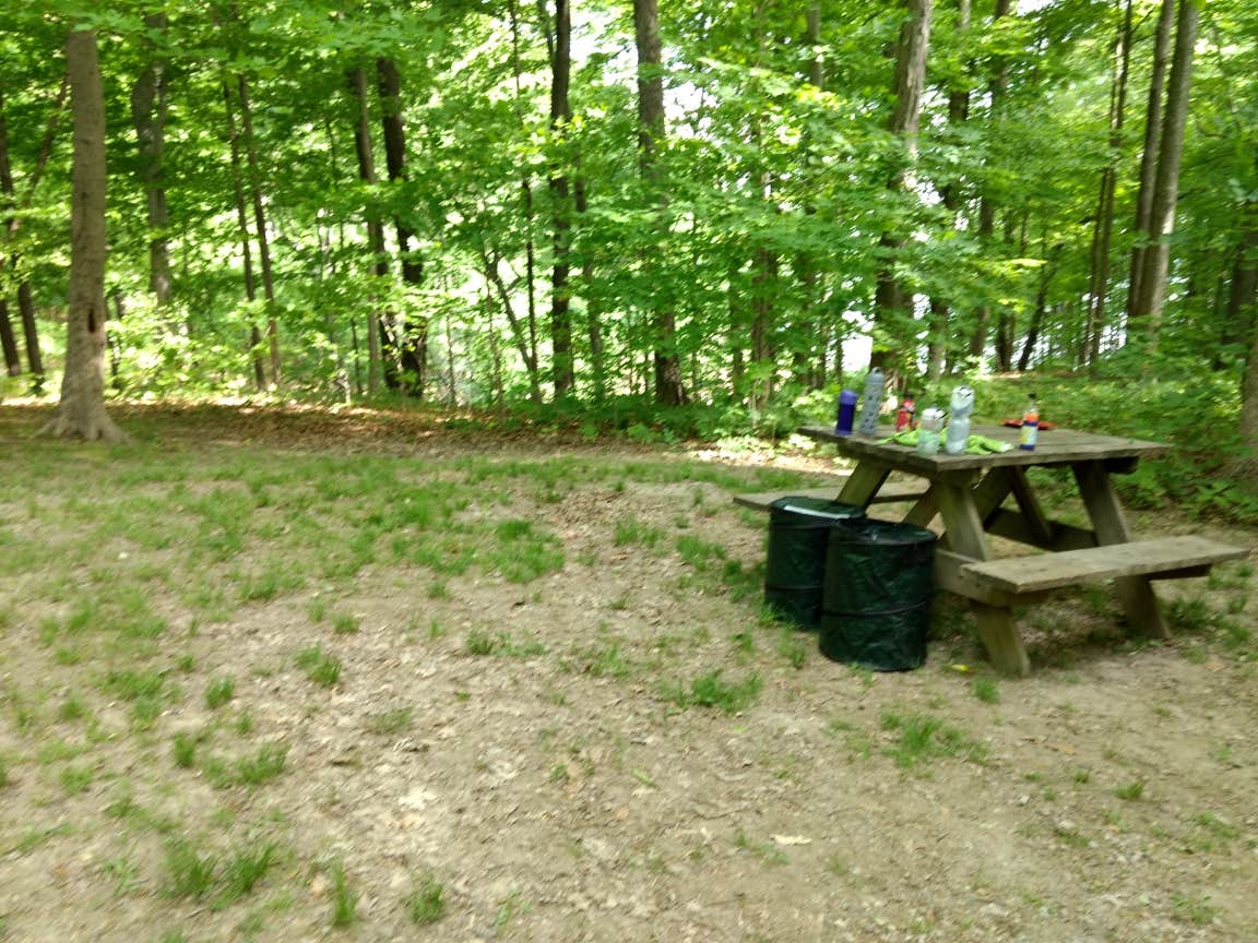 Camper submitted image from Cecil M Harden Lake Raccoon State Recreation Area - 4