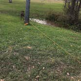 Review photo of Thousand Trails Lake Conroe by Karen  B., December 30, 2020