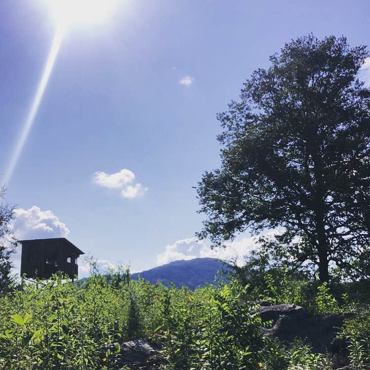 Camper-submitted photo at Rocky Meadows Farm near Corryton, TN