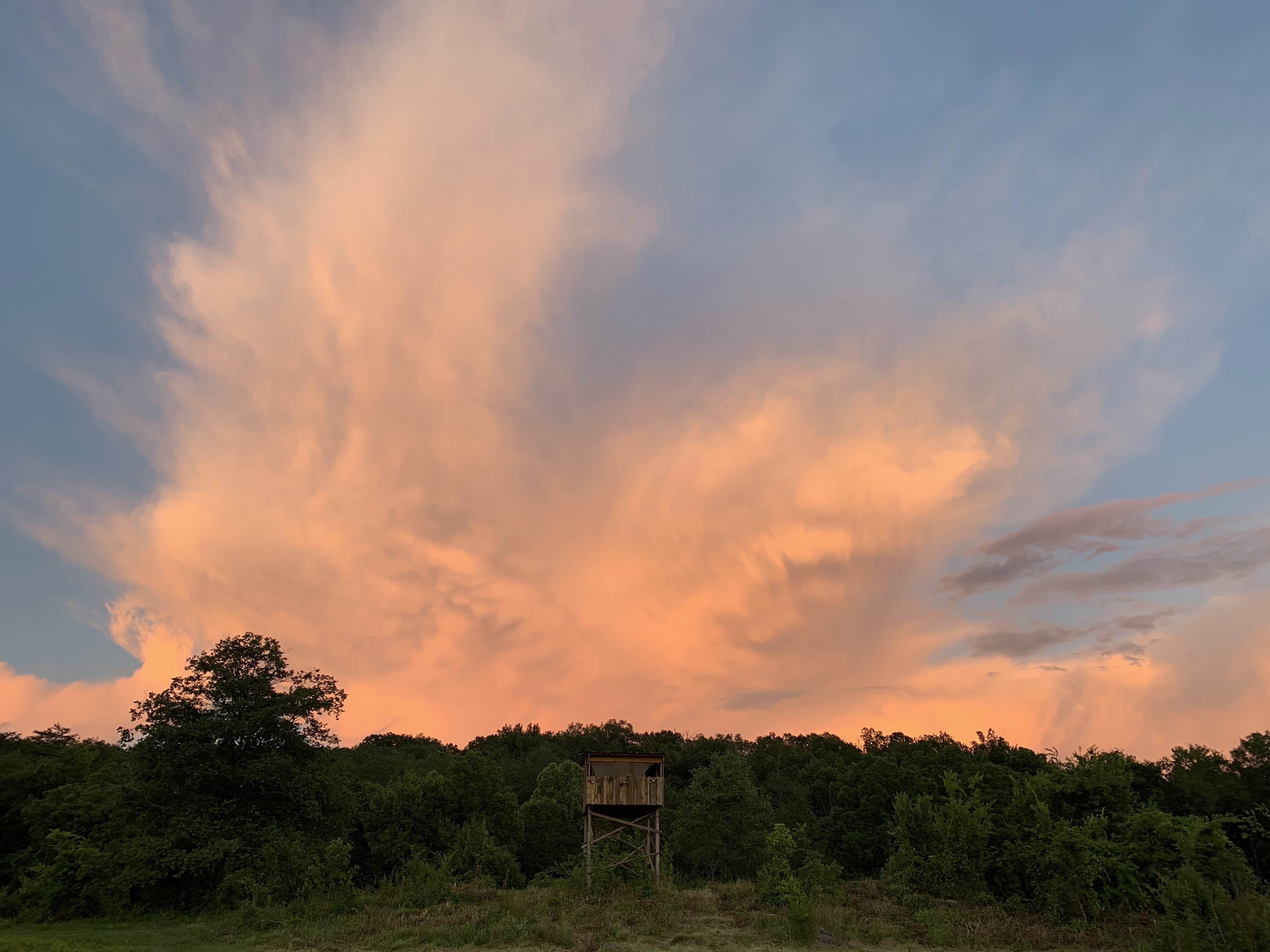 Camper submitted image from Rocky Meadows Farm - 2