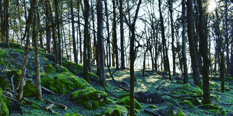 Camper submitted image from Rocky Meadows Farm