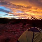 Review photo of West Sedona Designated Dispersed Camping by Albert V., December 30, 2020