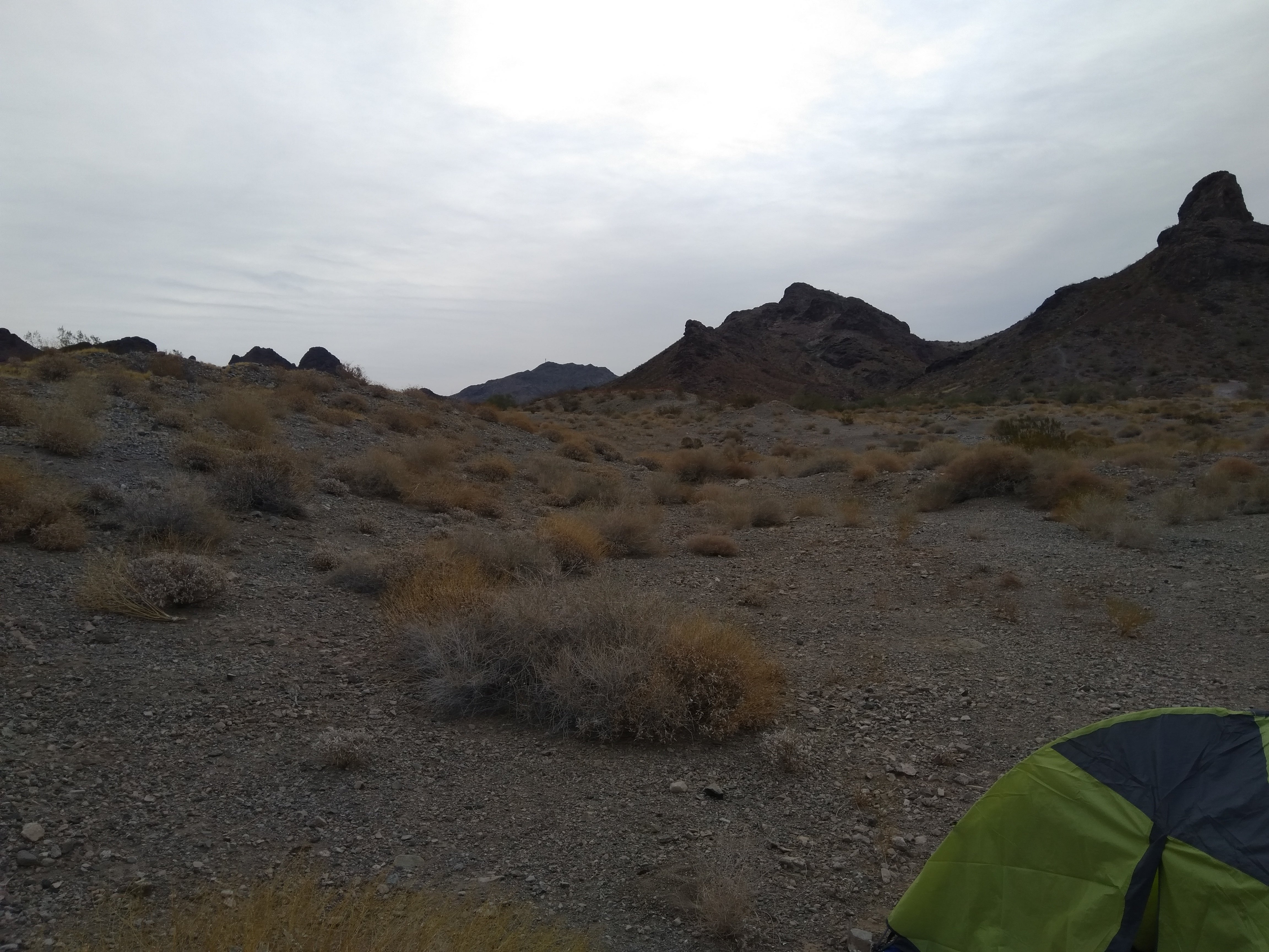 Camper submitted image from Lone Tree Dispersed Camping BLM  - 5