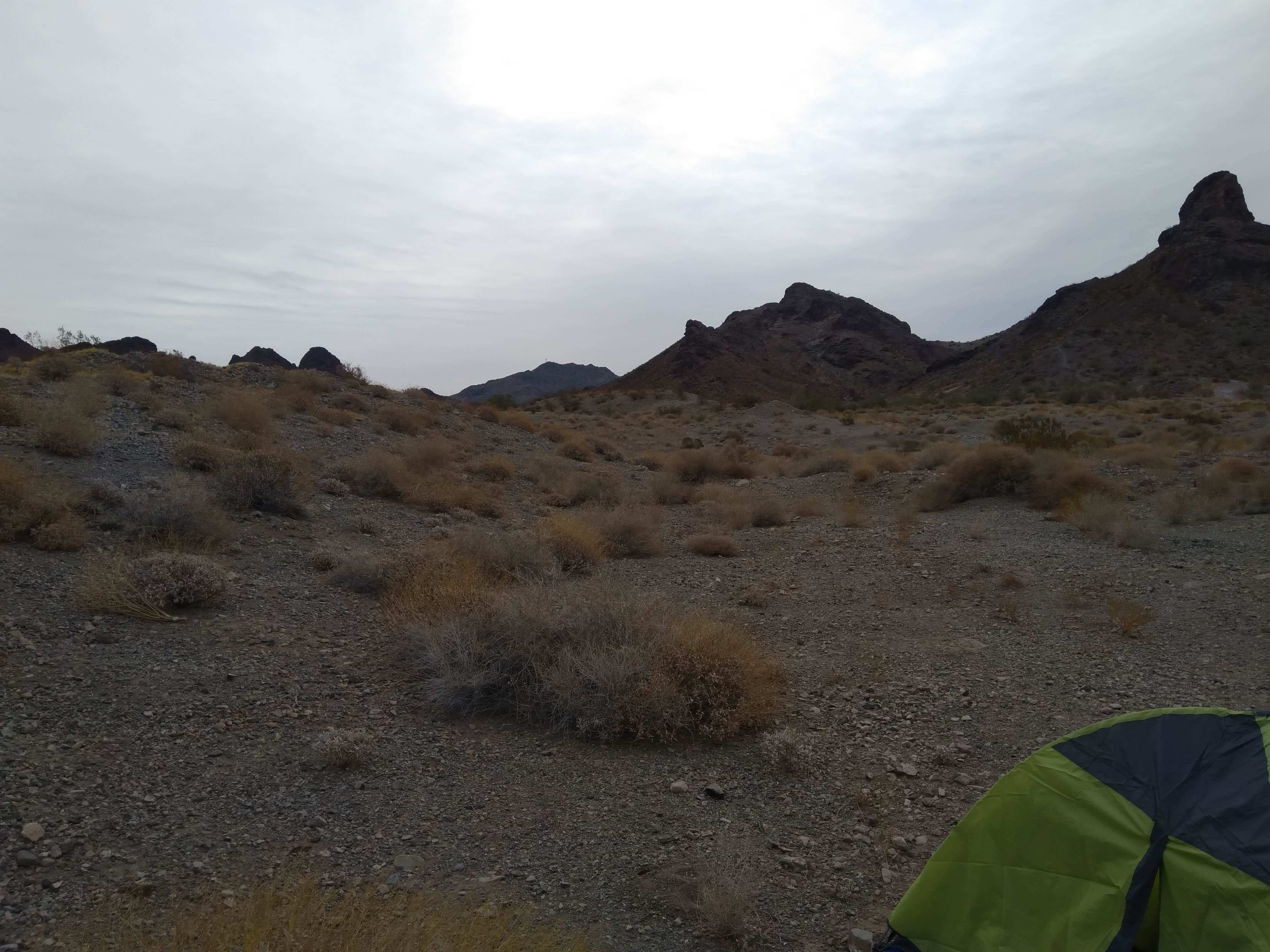 Camper submitted image from Lone Tree Dispersed Camping BLM - 5