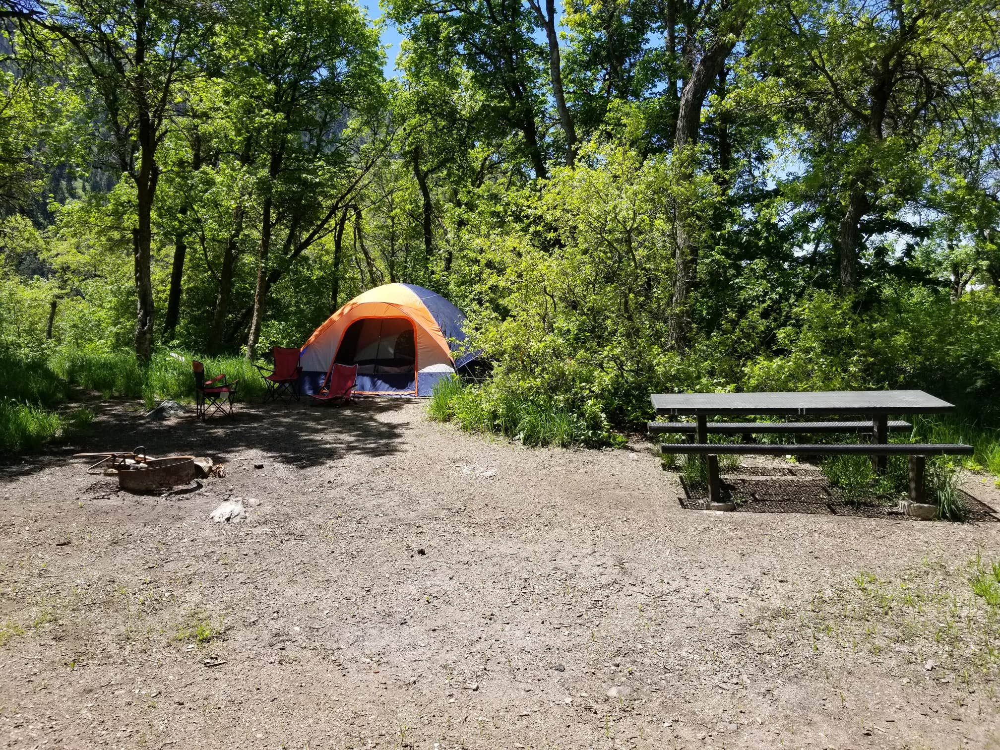 Camper submitted image from Sunset Campground – CLOSED - 4
