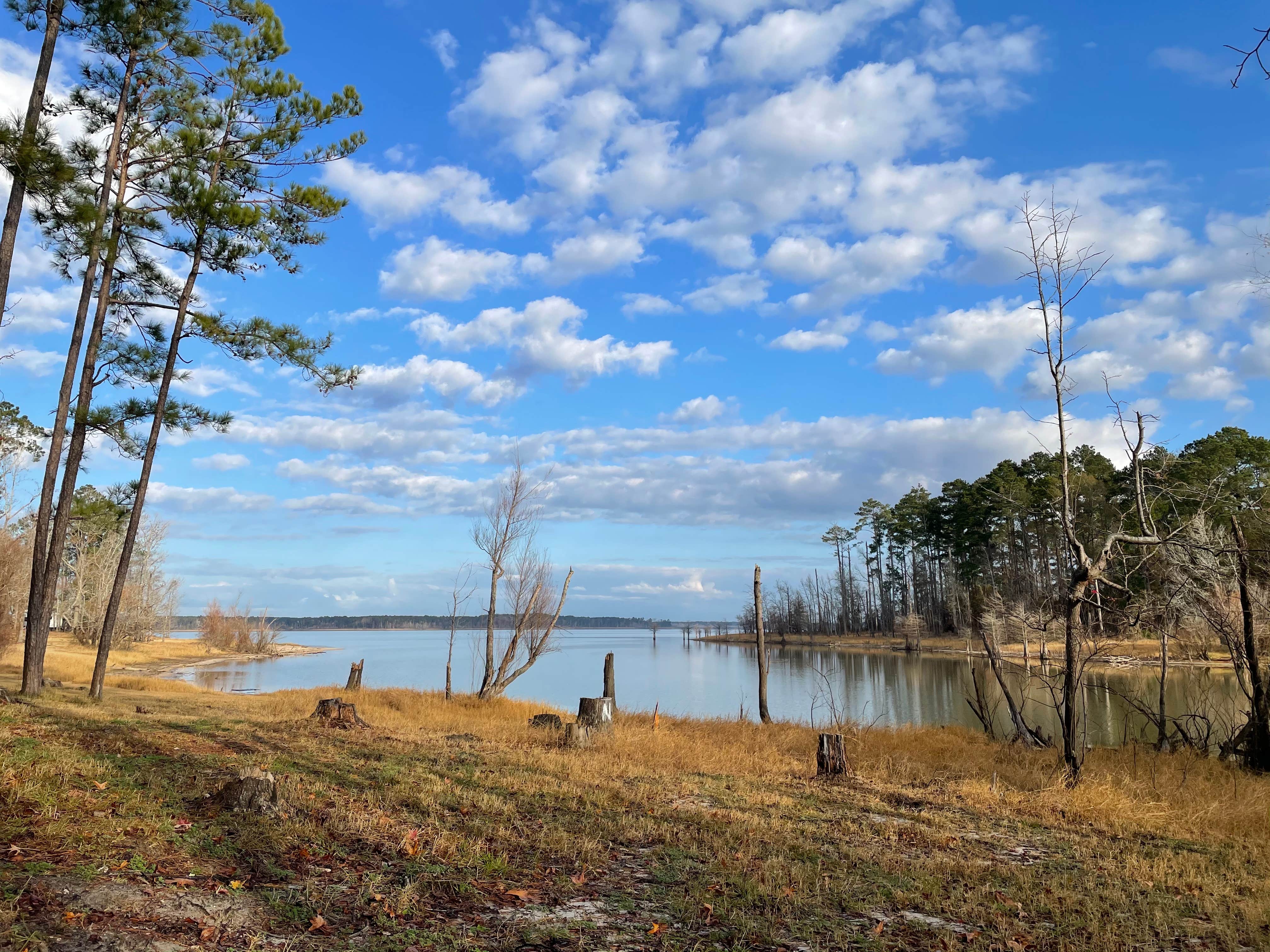 Camper-submitted photo at Mill Creek Park near Angelina National Forest