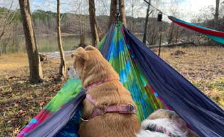 Amanda's photo of camping with pets at Mill Creek Park near San Augustine, TX