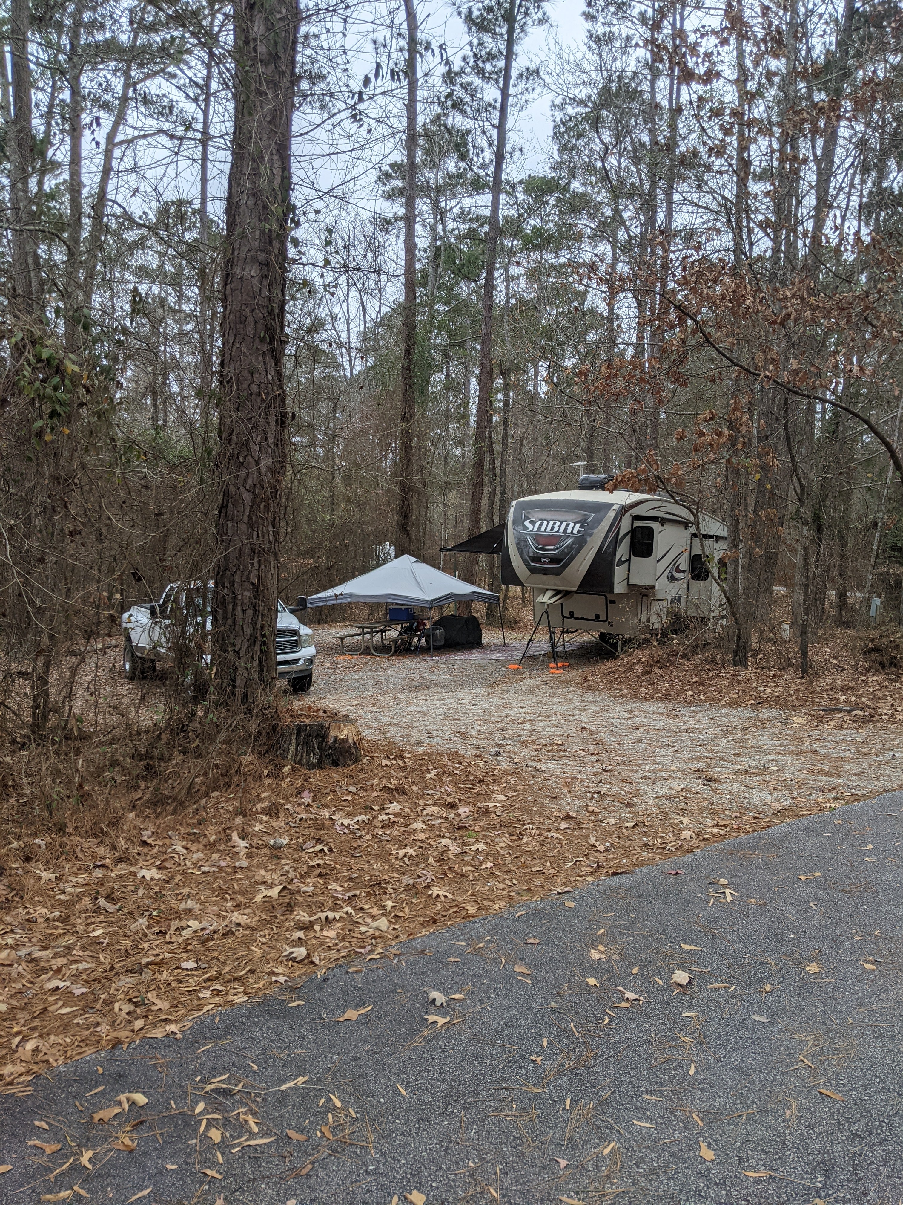 Camper submitted image from Hester's Ferry Campground - 5