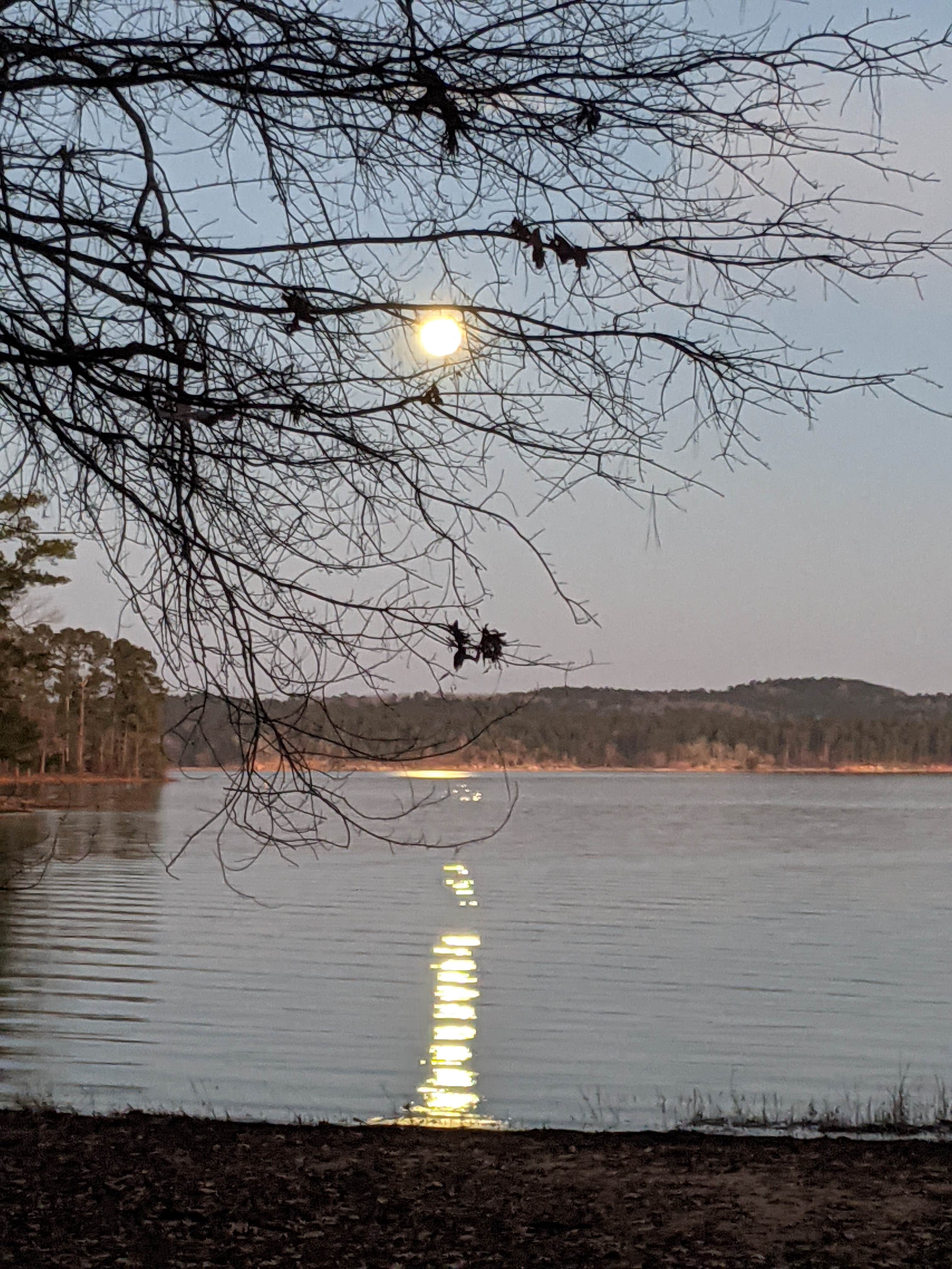 Camper-submitted photo at Hester's Ferry Campground near Calhoun Falls, SC