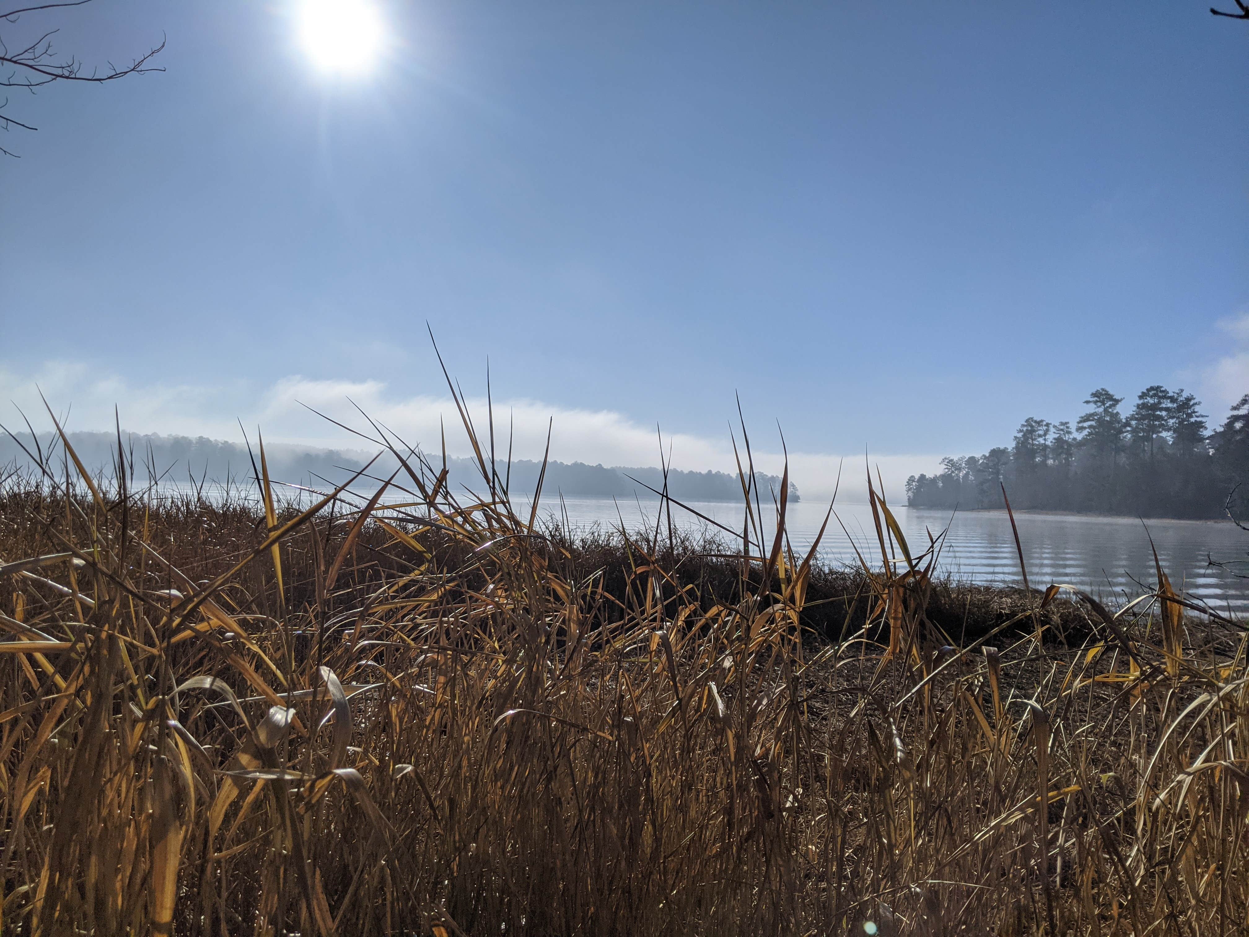Camping near Calhoun Falls State Park Campground: Hester's Ferry Campground, Lincolnton, Georgia