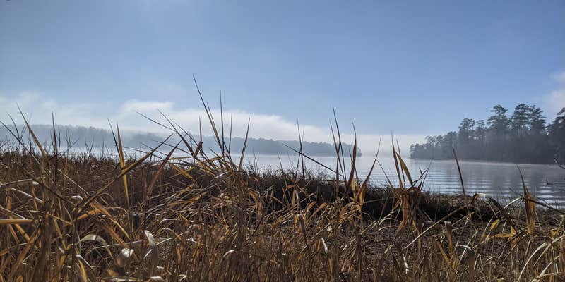 Camper submitted image from Hester's Ferry Campground