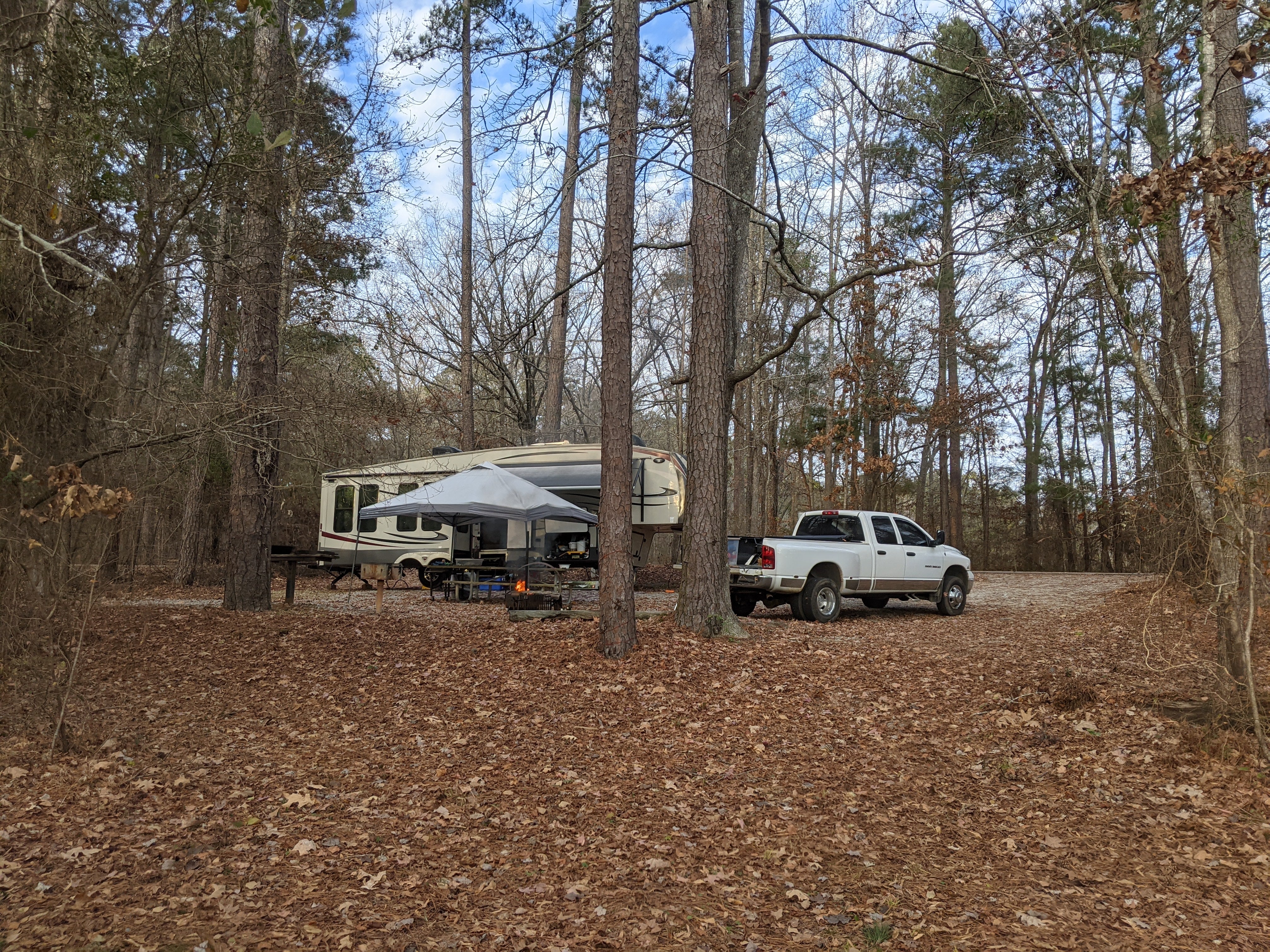 Camper submitted image from Hester's Ferry Campground - 3