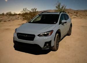 Joshua Tree South - BLM Dispersed